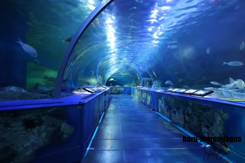 しながわ水族館
