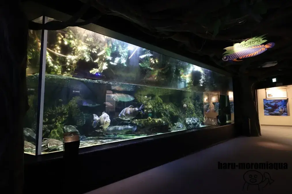 しながわ水族館