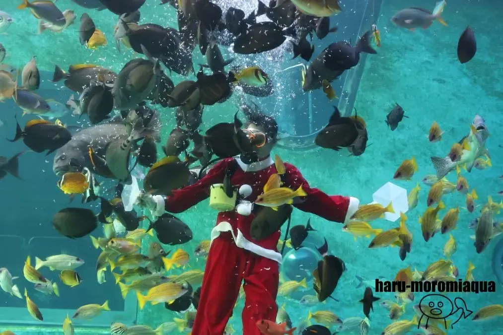 箱根園水族館　ダイバー