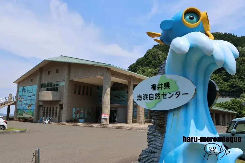 福井県海浜自然センター