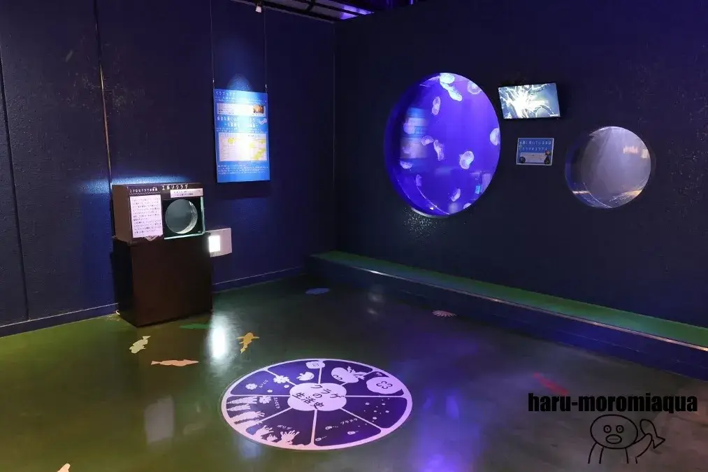碧南海浜水族館