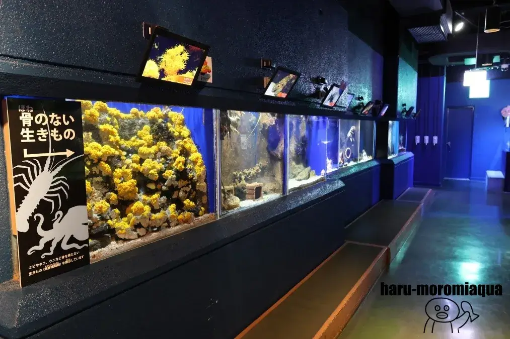 碧南海浜水族館