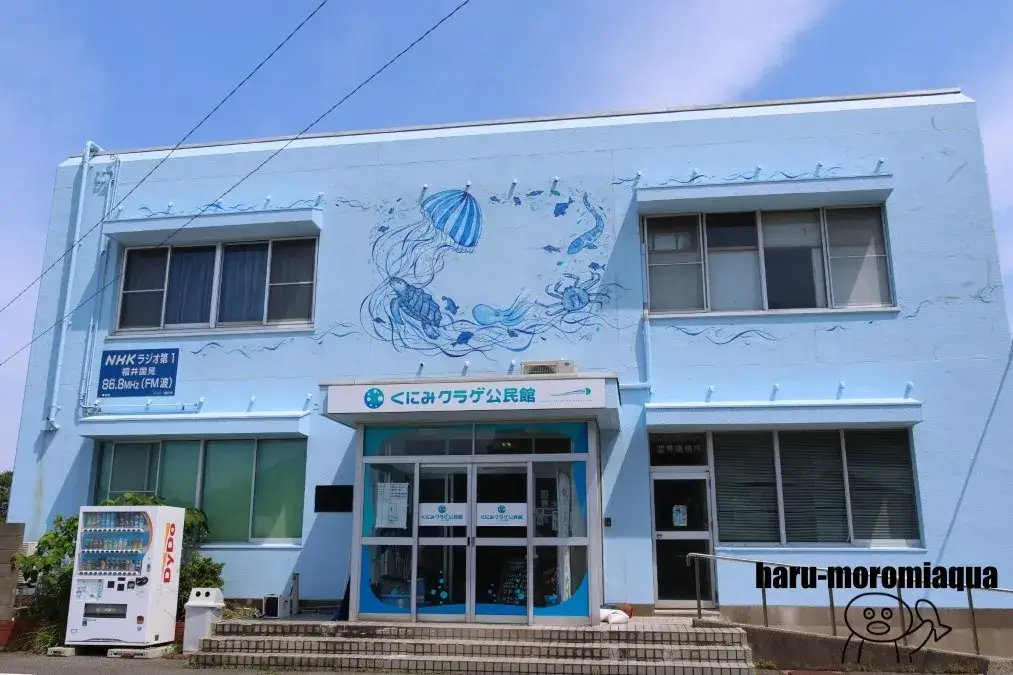 くにみクラゲ公民館