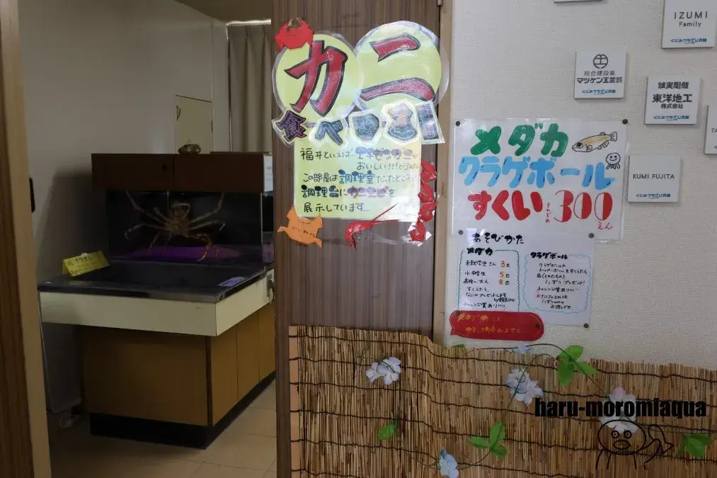 くにみクラゲ公民館