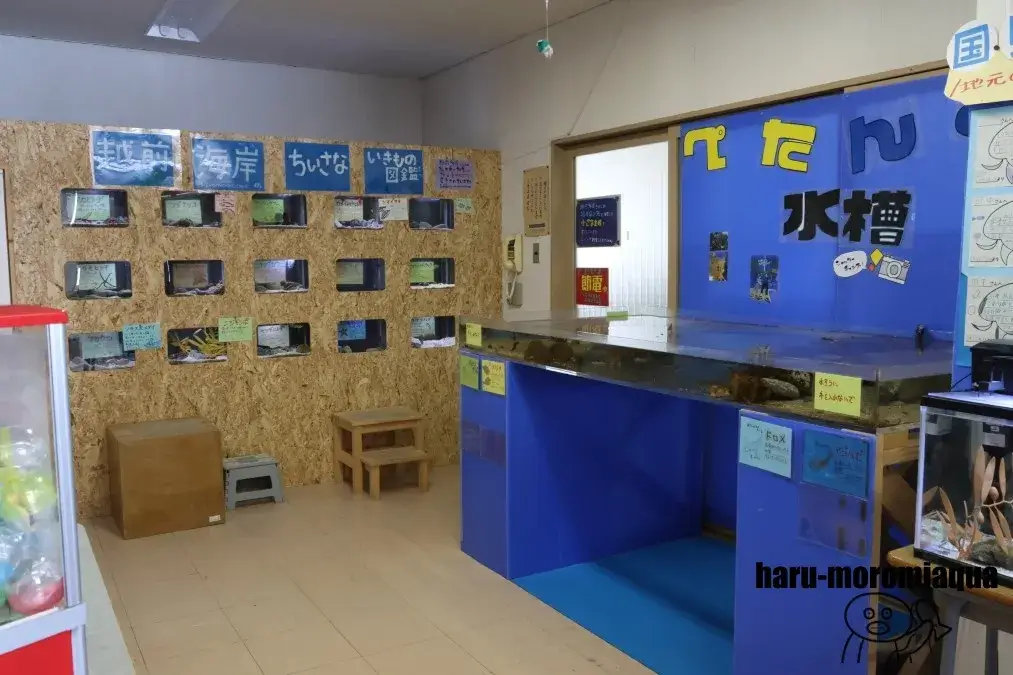 くにみクラゲ公民館