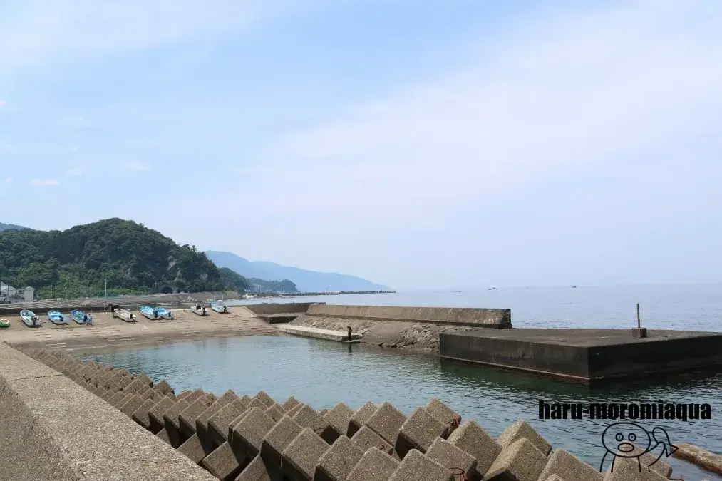 くにみクラゲ公民館 海