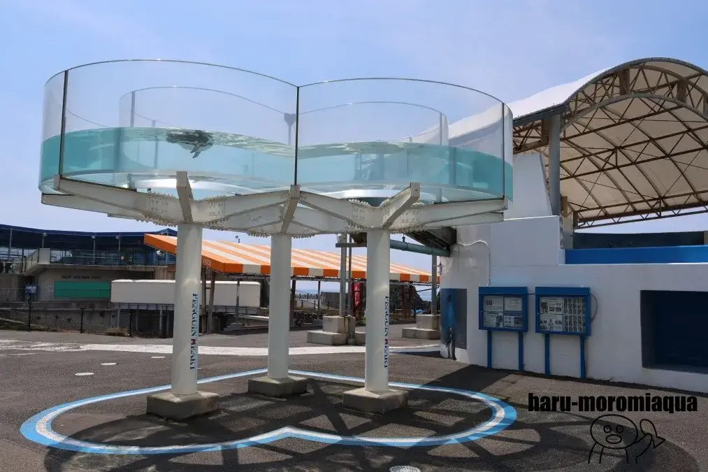 越前松島水族館