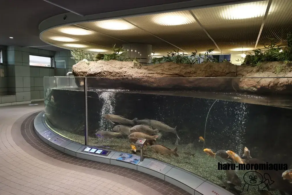 ぎょぎょランド