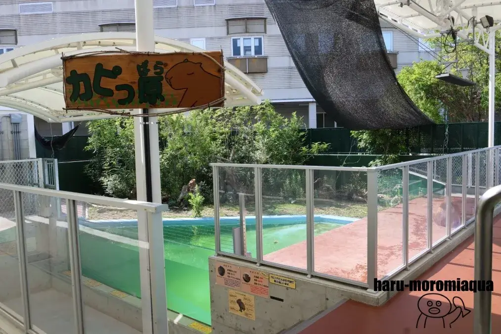 竹島水族館