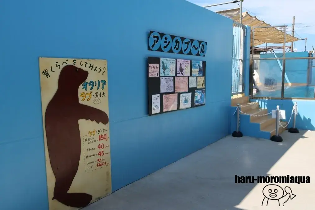 竹島水族館