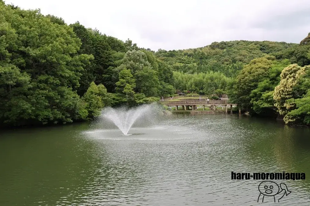 豊川市赤塚山公園