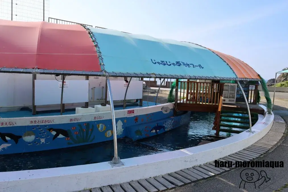 越前松島水族館 じゃぶじゃぶ海水プール