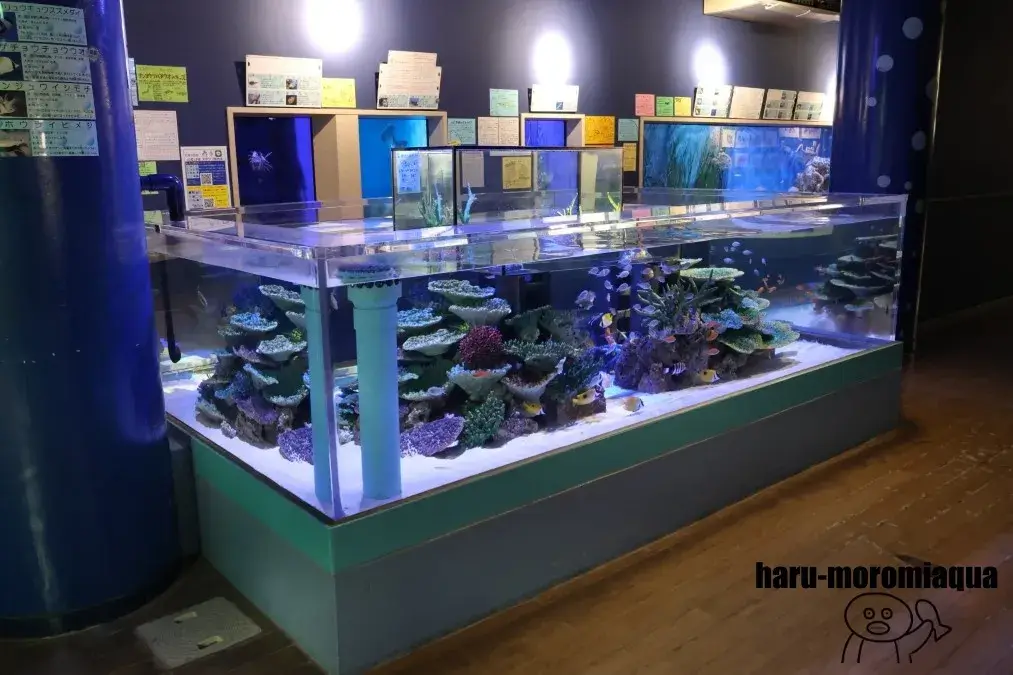 竹島水族館