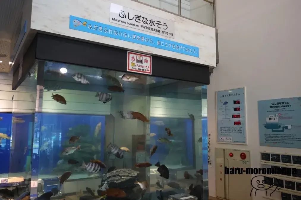 福井県海浜自然センター