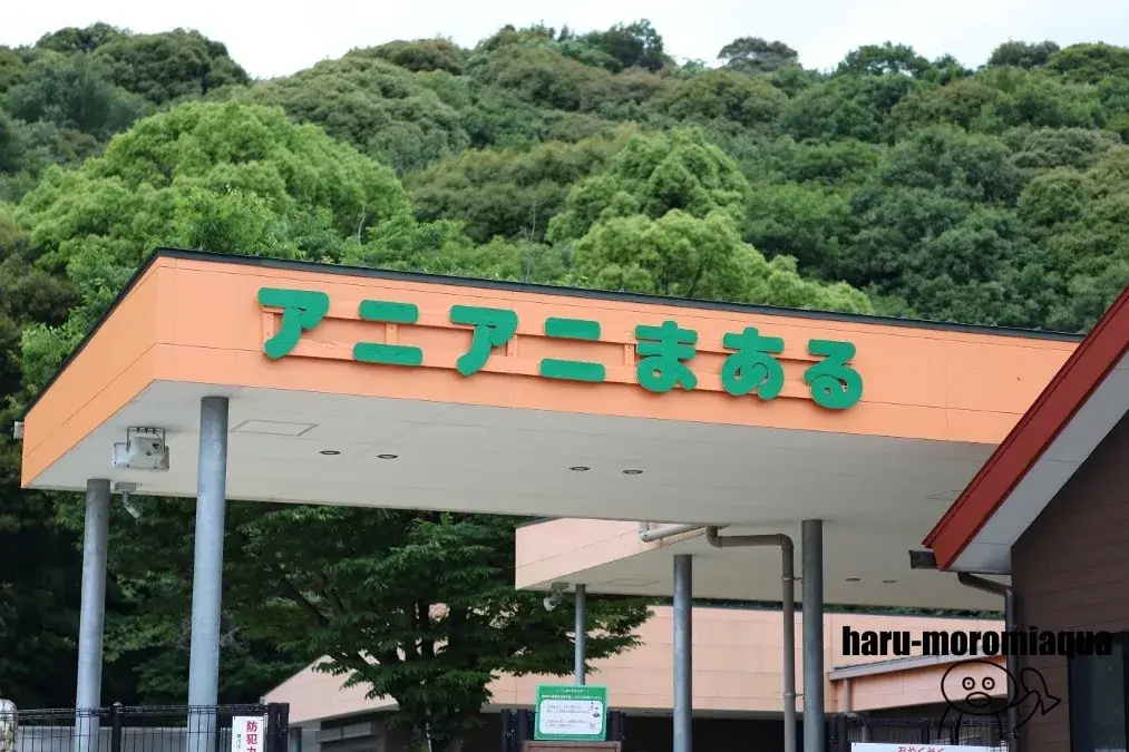 アニアニまある