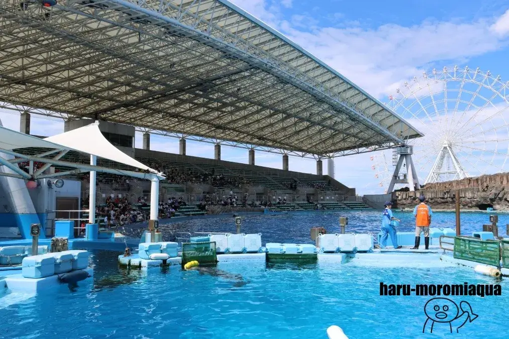 名古屋港水族館　イルカスタジアム