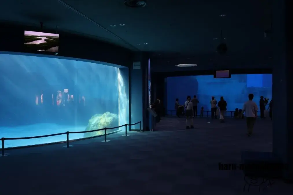 名古屋港水族館