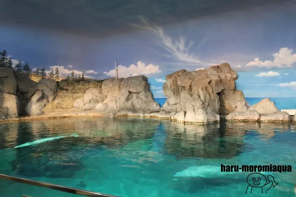 名古屋港水族館