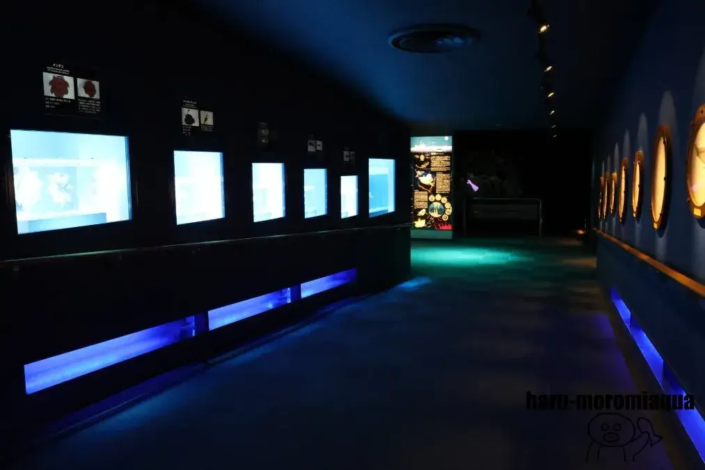 名古屋港水族館