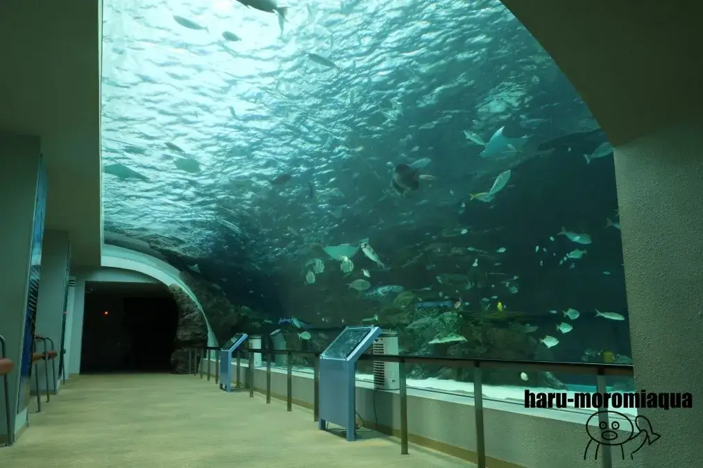 名古屋港水族館