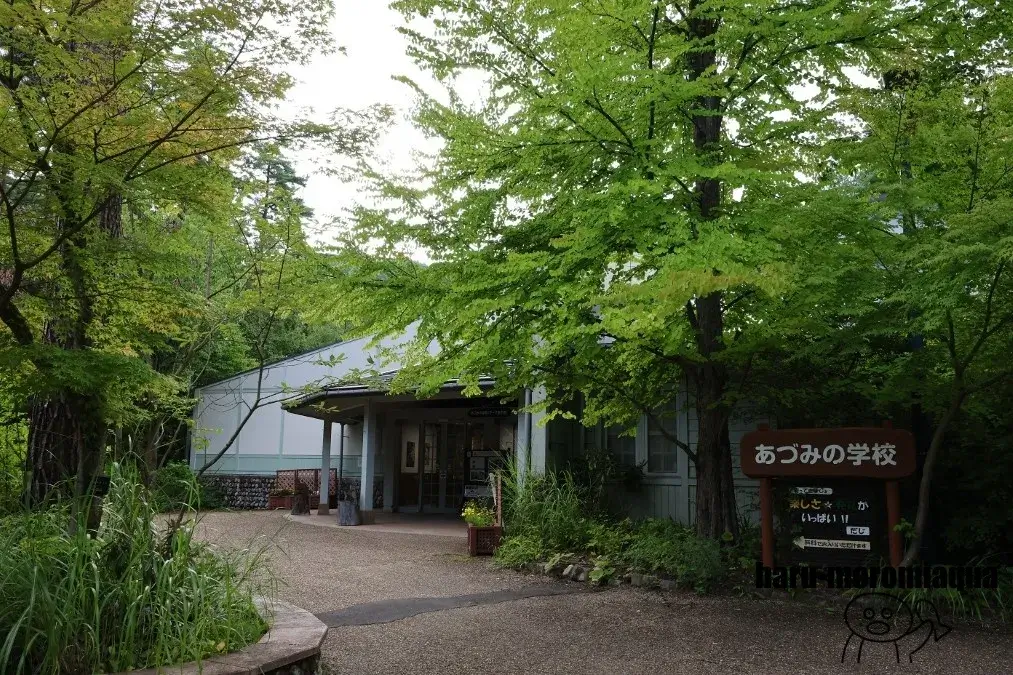 あづみの学校