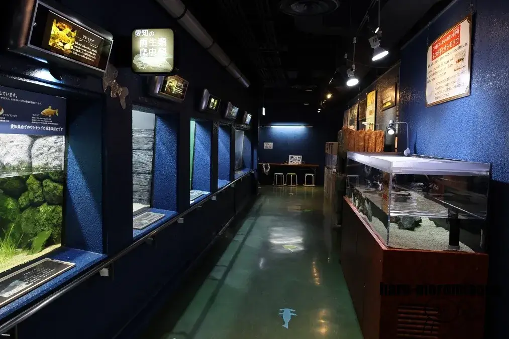 碧南海浜水族館