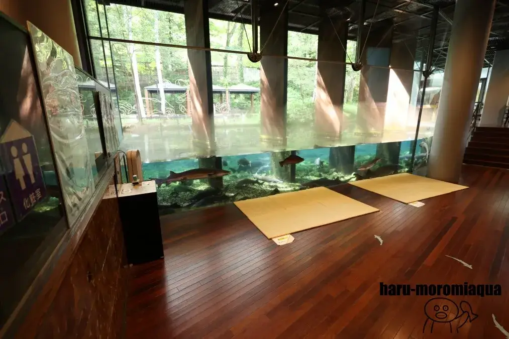 山梨県立富士湧水の里水族館