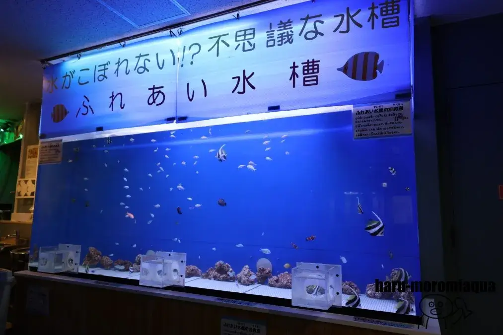 ウォット　ふれあい水槽