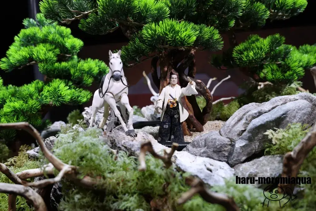 スマートアクアリウム静岡　将軍