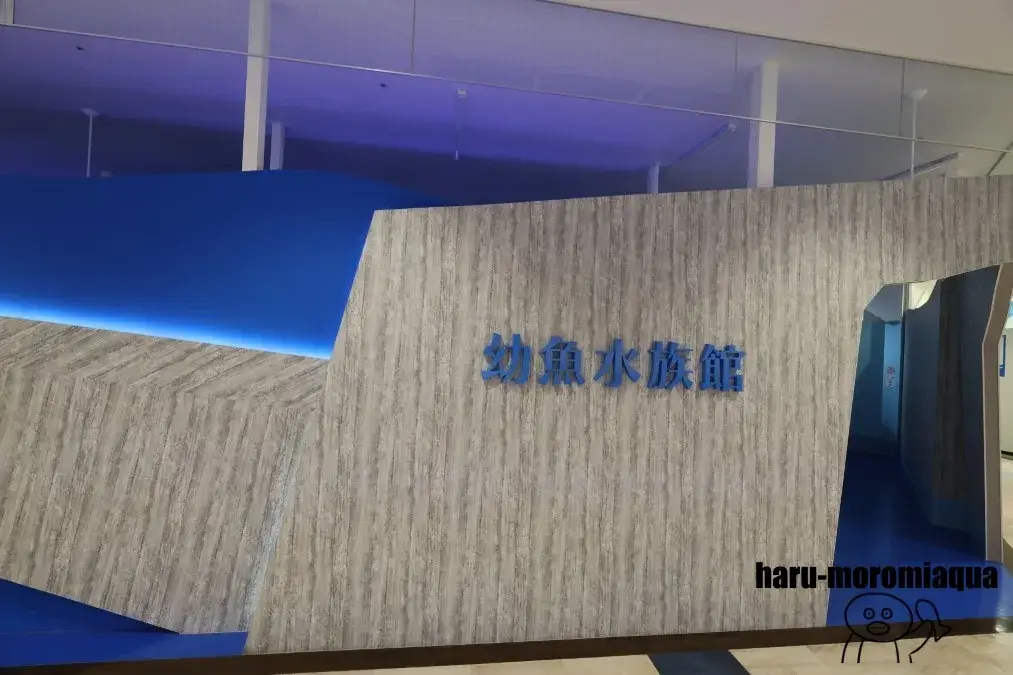 幼魚水族館