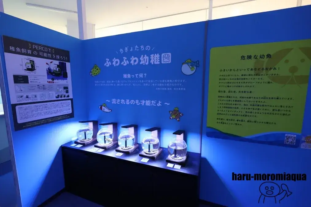 幼魚水族館