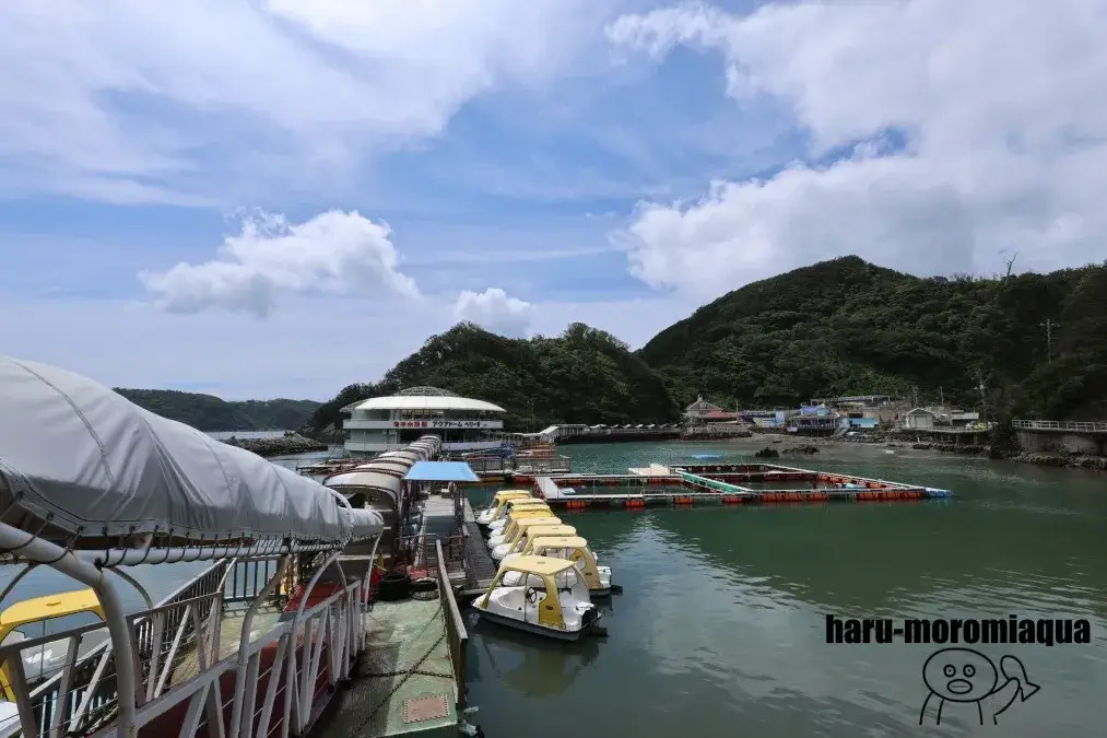 下田海中水族館