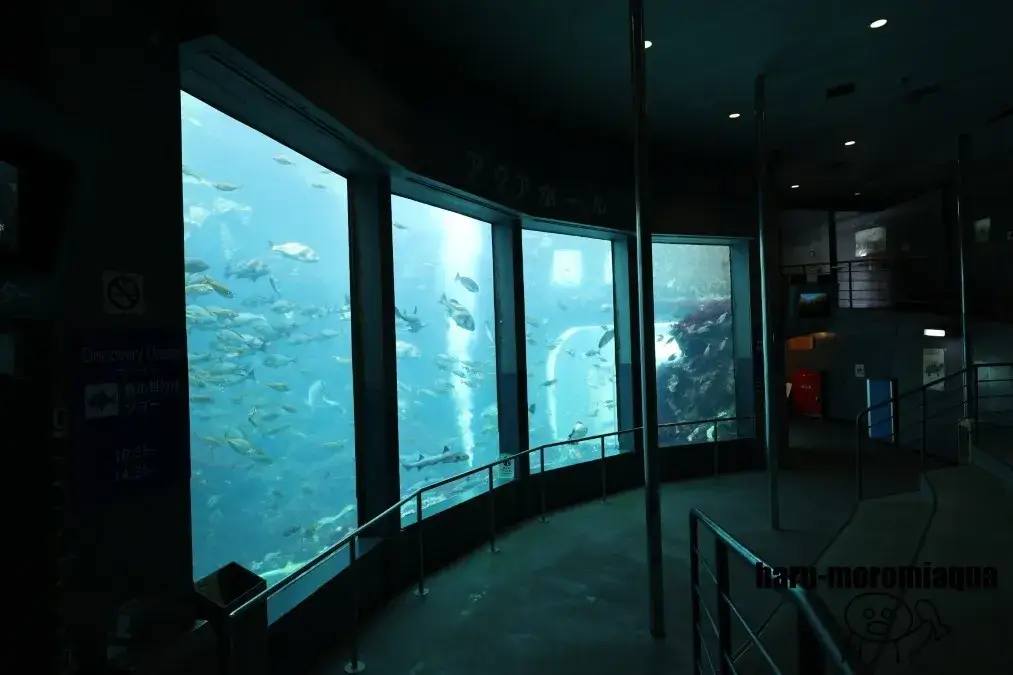 下田海中水族館　アクアドームペリー号