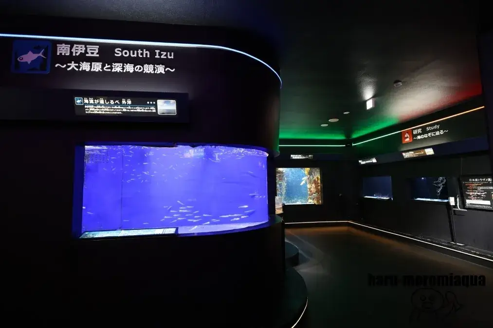 下田海中水族館　伊豆の海