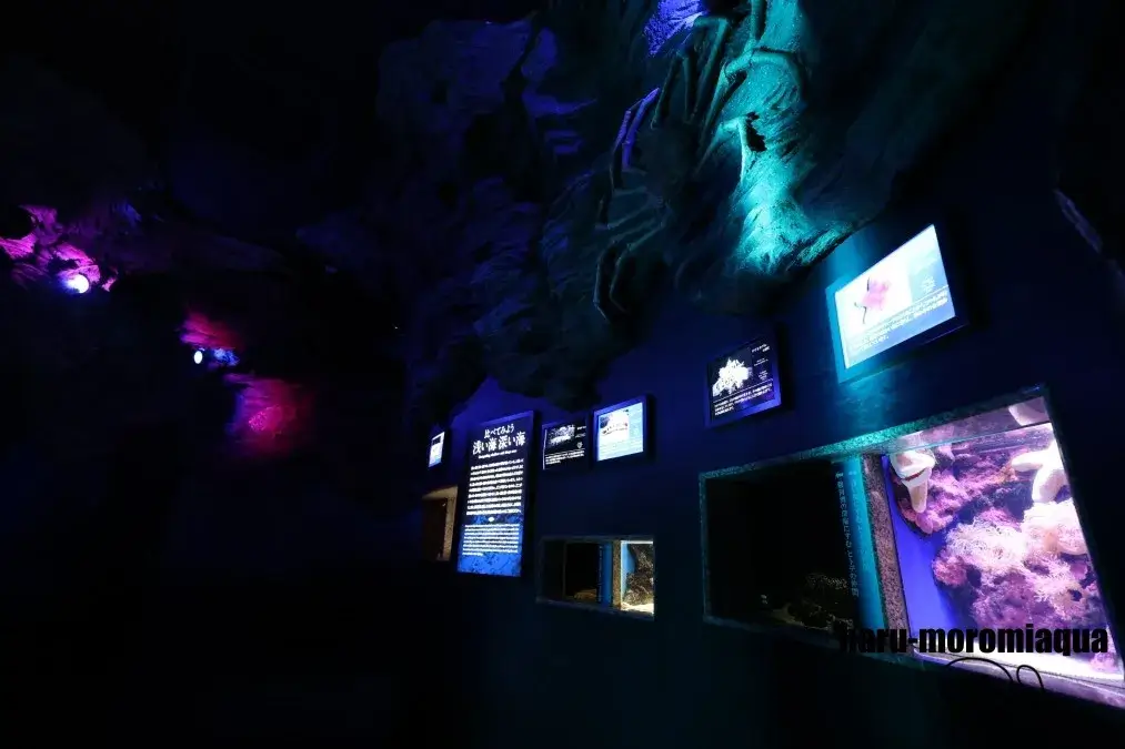 沼津港深海水族館