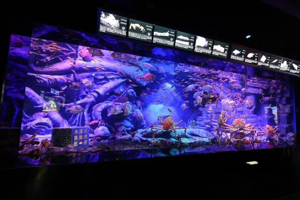 沼津港深海水族館