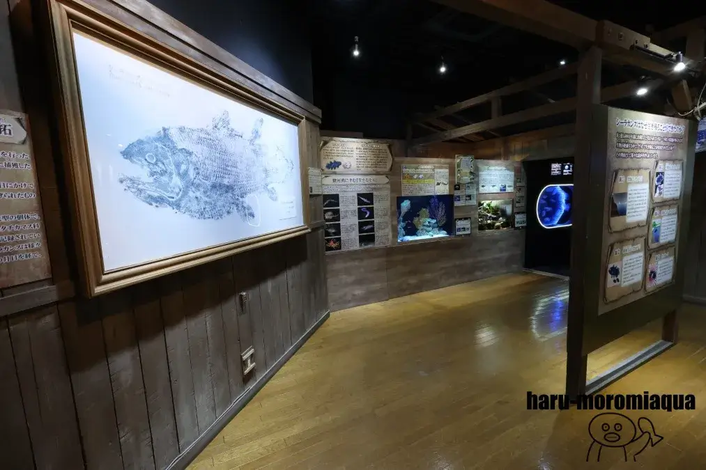 沼津港深海水族館