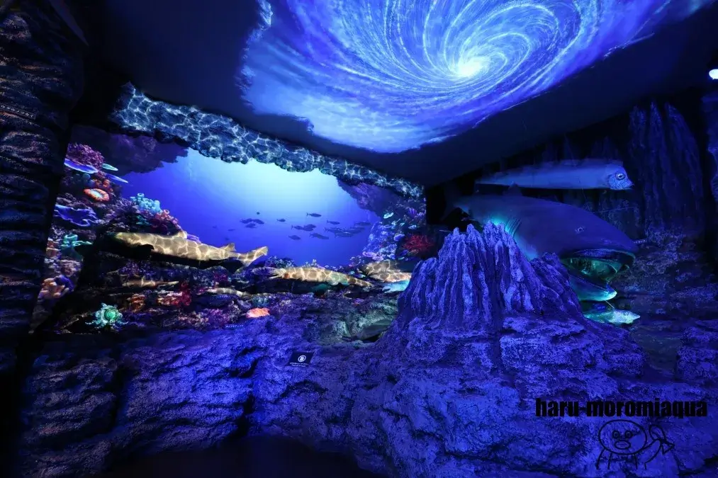 沼津港深海水族館　ディープシーワールド