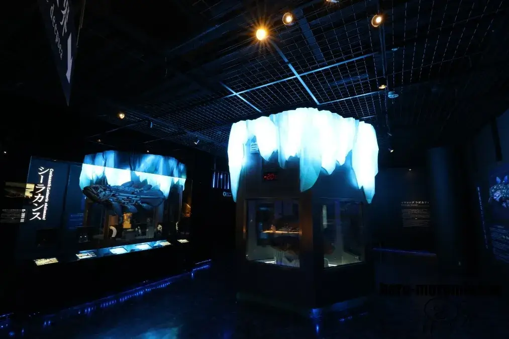 沼津港深海水族館