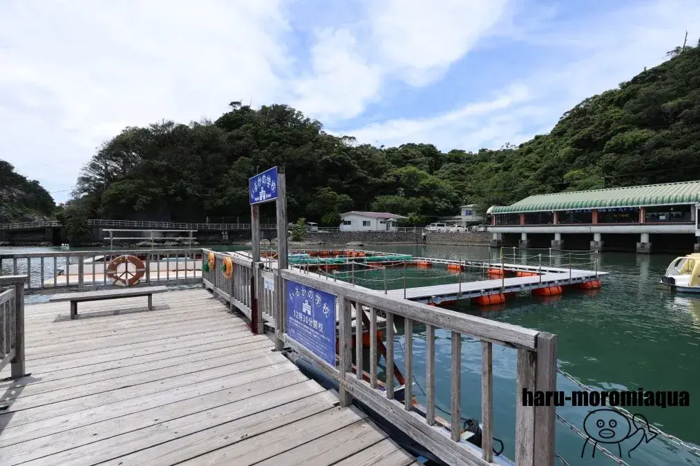 下田海中水族館