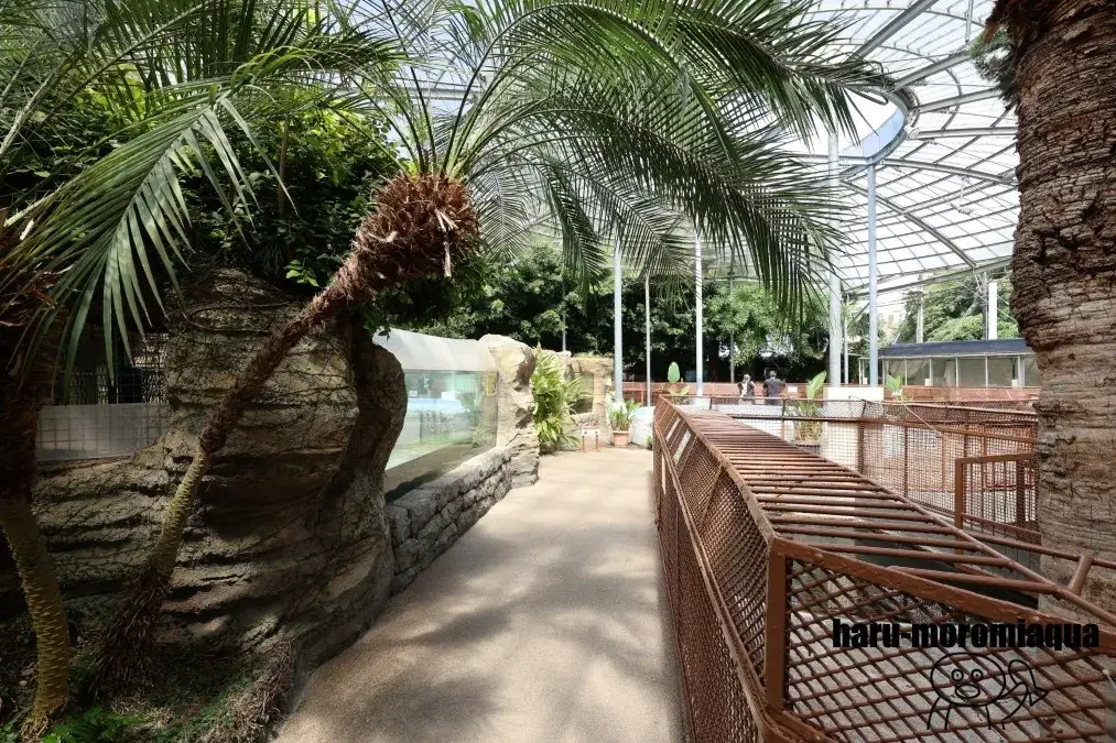熱川バナナワニ園