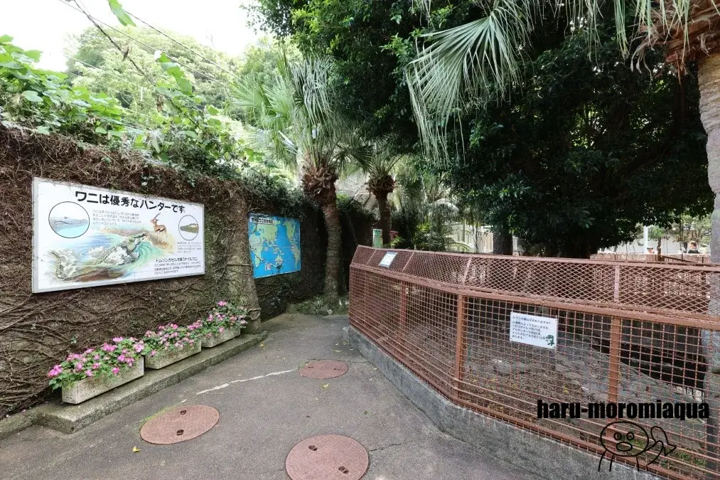 熱川バナナワニ園