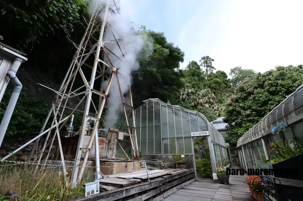 熱川バナナワニ園