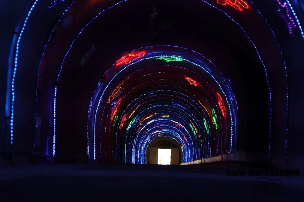 淡島