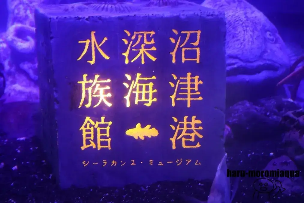 沼津港深海水族館