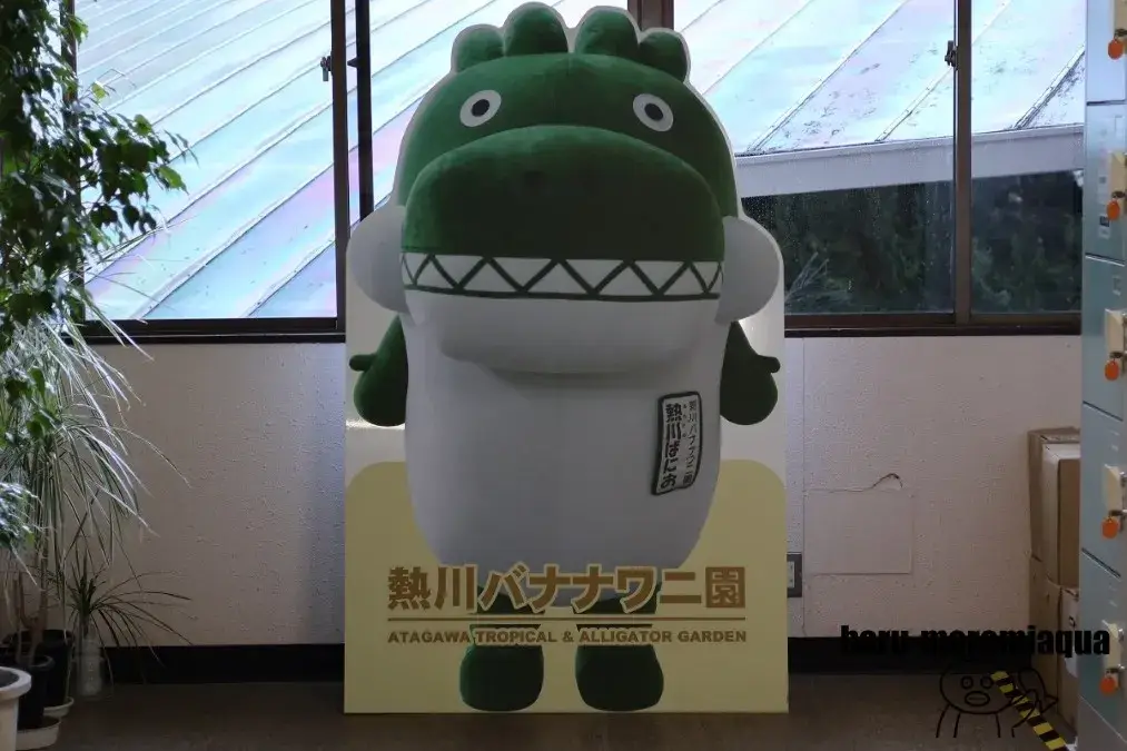 熱川バナナワニ園