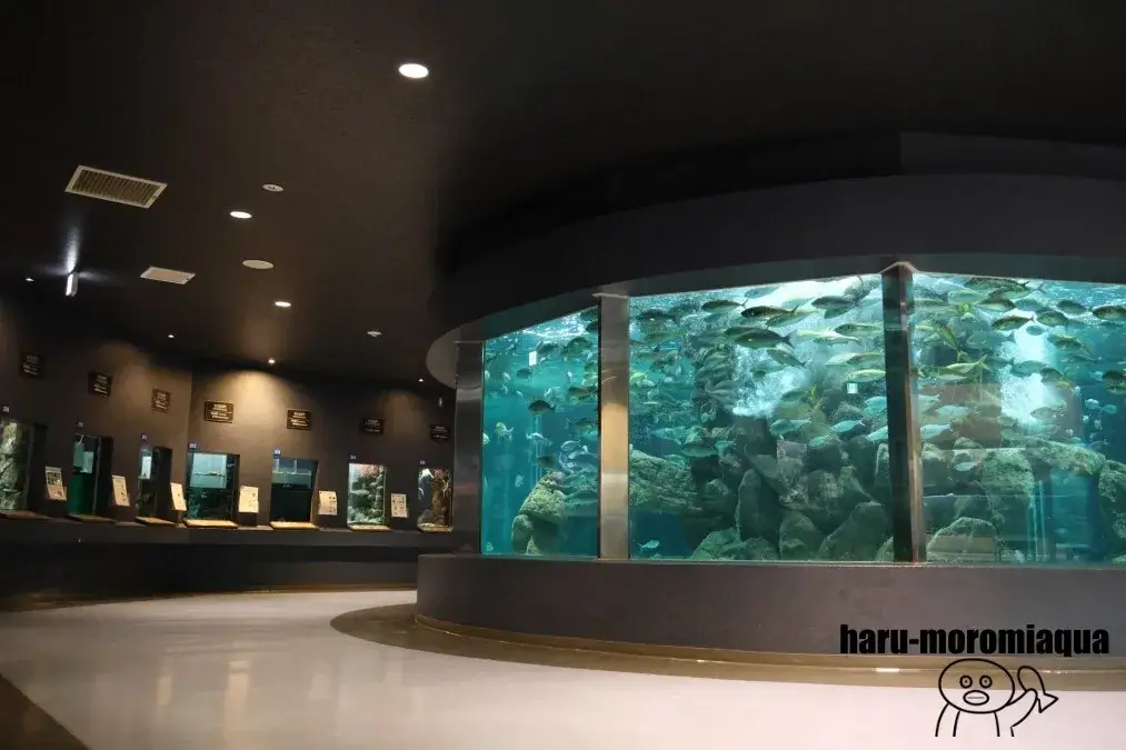 京都大学白浜水族館