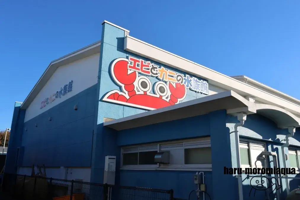 すさみ町立エビとカニの水族館