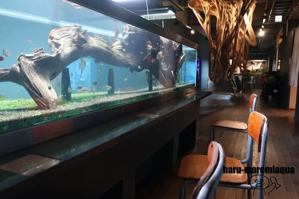 みなとやま水族館