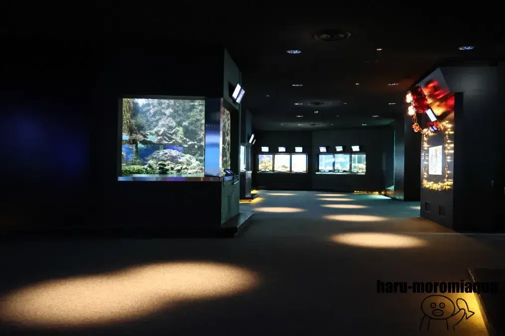 串本海中公園